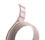 aiino Koa cinturino per Apple Watch (Serie 4-10) 40-42 mm - Fluffy Rose