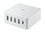 aiino Charging Station con Type-c PD + QC 3.0 + 3 USB - 60W Max - EU plug
