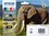 MultiPack 24XL, contenente n.6 cartucce inchiostro XL per XP-750/XP-850/XP-950