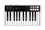 IK Multimedia Controller MIDI e interfaccia audio iRig Keys I/O 25